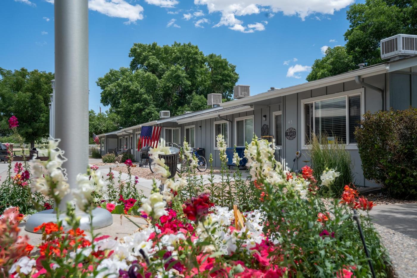 Flower bed in common gathering patio