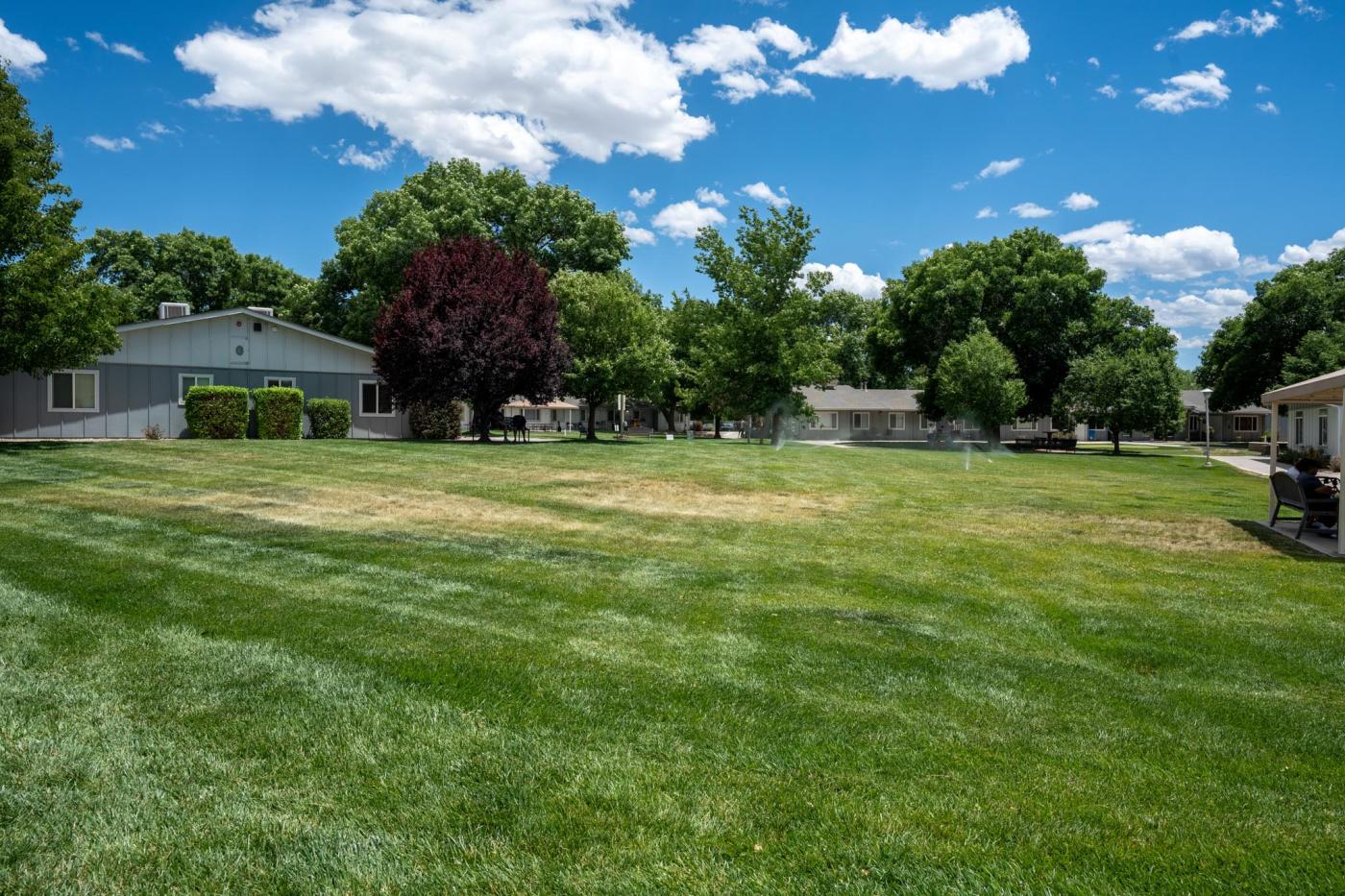 Open grass area in the middle of Bacon Campus